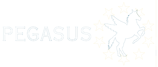 logo-pegasus-blac.png