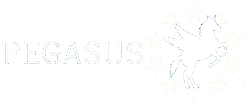 logo-pegasus-blac.png