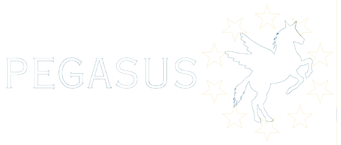 logo-pegasus-blac.png