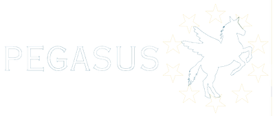 logo-pegasus-blac.png