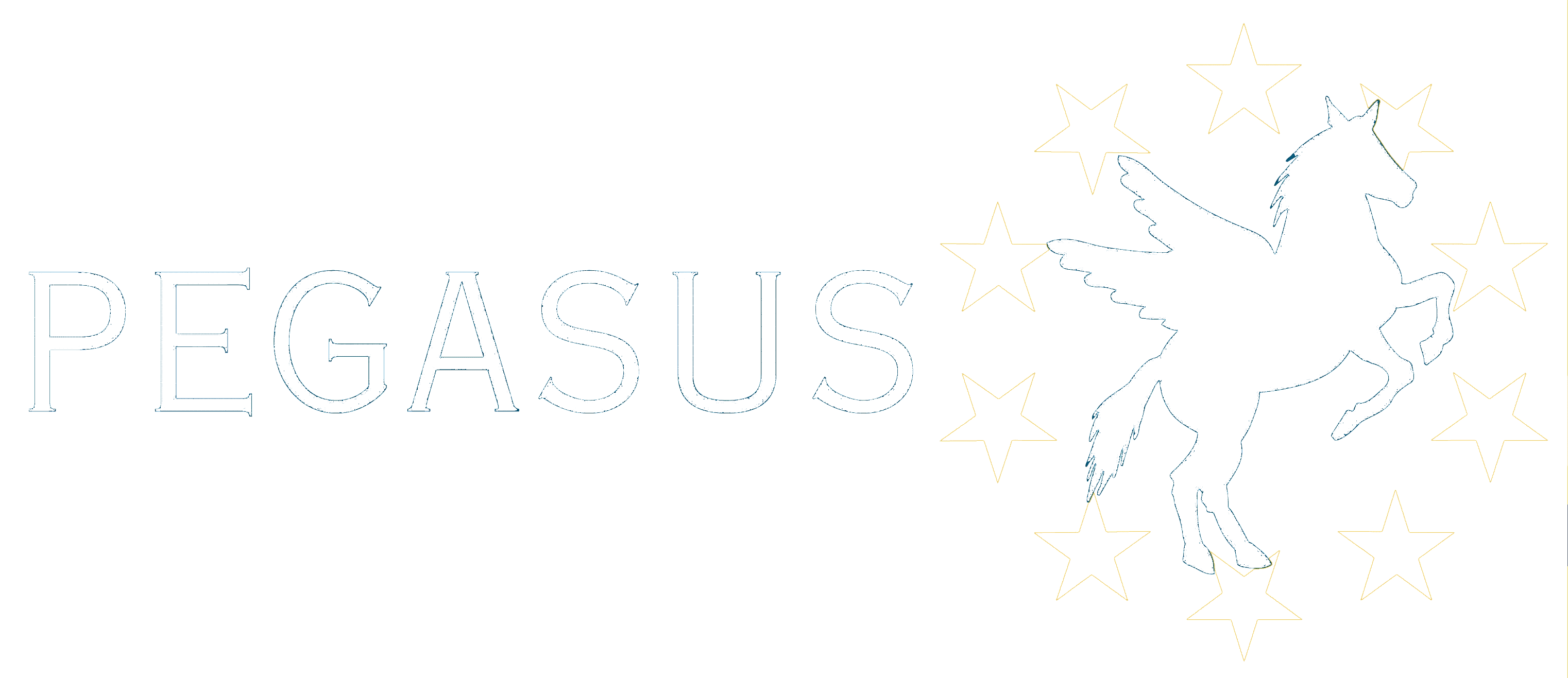 Pegasus Network, (open link in a new window)